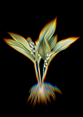 Prism Lily of the Valley