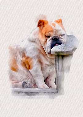 Sleeping Bulldog puppy