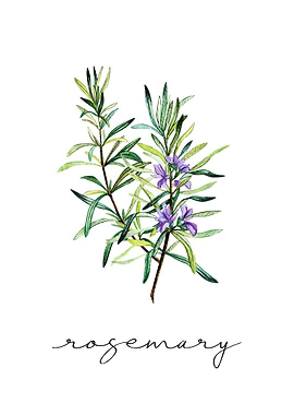 Rosemary