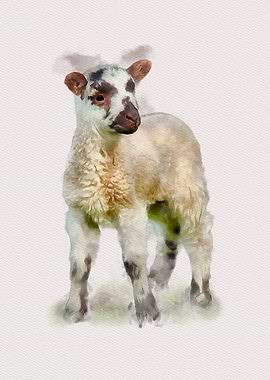 Little Lamb