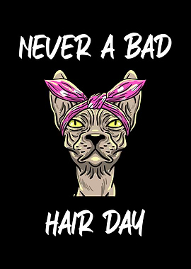 Never A Bad Hairday Cat