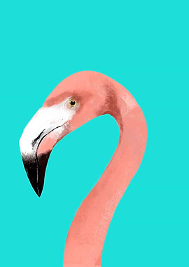 flamingo