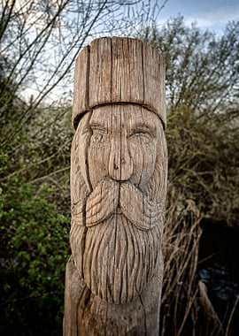 Gifhor Wood Faces I