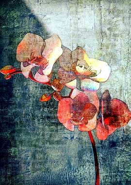 Orchids Fractal Flowers