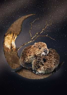 North American beaver