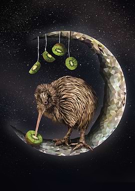 Northern Brown Kiwi