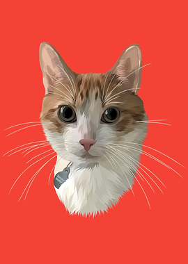 The Cat Vector