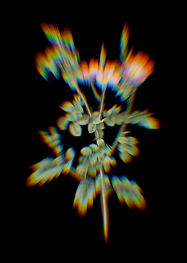 Prism Sweetbriar Rose