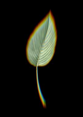 Prism Alligator Flag