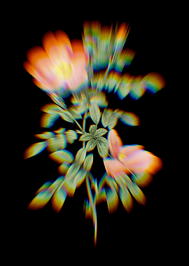 Prism Red Sweetbriar Rose