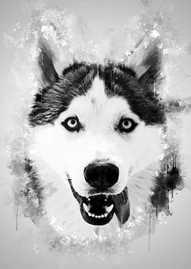 Happy Husky BW