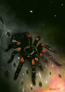 Spirit of the Spider