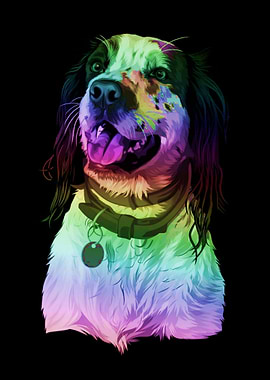 The Rainbow Vector Pet