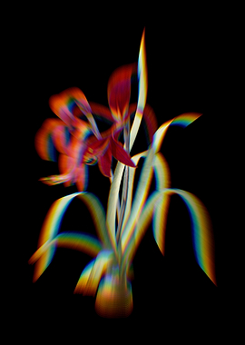 Prism Sprekelia