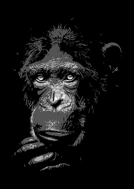 Gorilla V1 black and whit