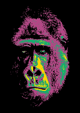 Gorilla V3 Pop Art