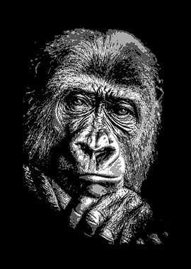 Gorilla V5 black and whit