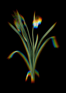 Prism Summer Snowflake