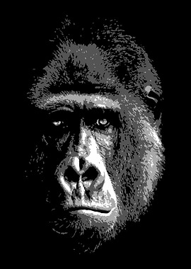 Gorilla V4 black and whit