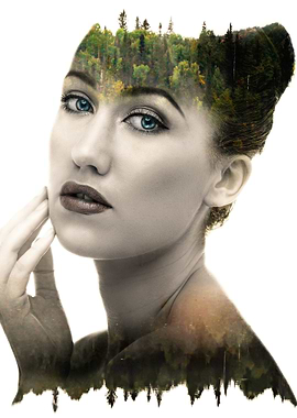 The beautiful girl artwork