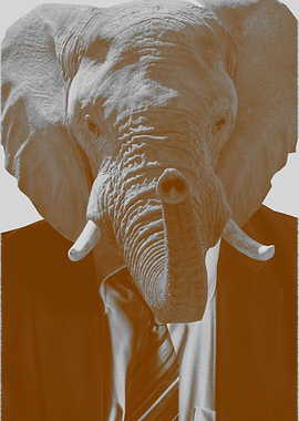 Business Elephant