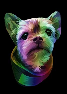 The Rainbow Vector Pet