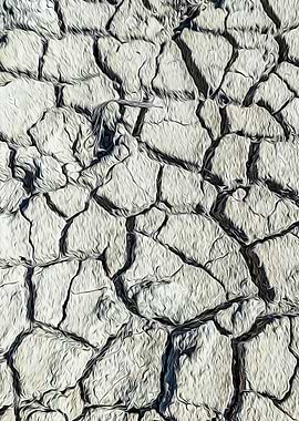 Parched land of a marsh