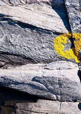 Archipelago Archipelago Is