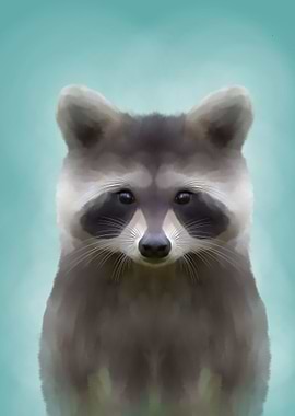 Raccoon
