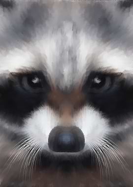 Raccoon
