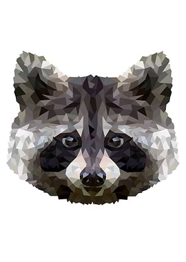 Raccoon