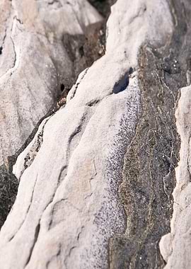 Archipelago Archipelago Is