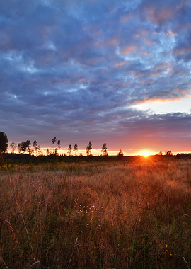 Sunset In Rural Area