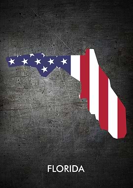 Florida Metal Flag