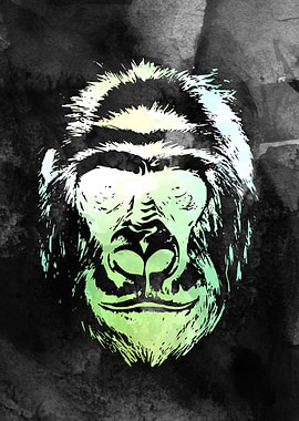 Gorilla