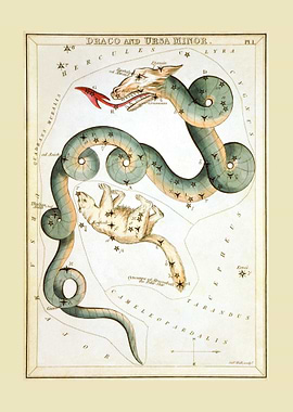Draco And Ursa Minor