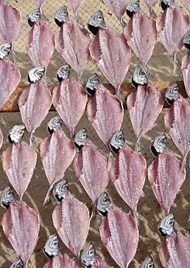 Traditional dried fish 01