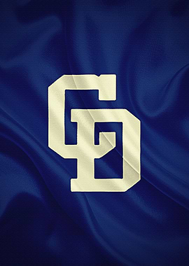 Chunichi Dragons Japanese