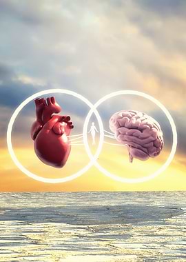 The heart and mind became