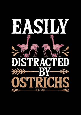 Funny Ostriches