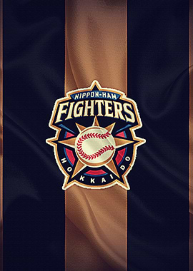 Hokkaido NipponHam Fighter