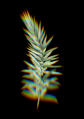 Prism Whorl Solomons Seal