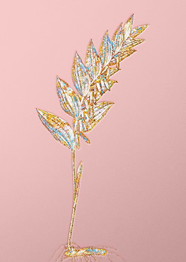 Gold Rainbow Mosaic Flower