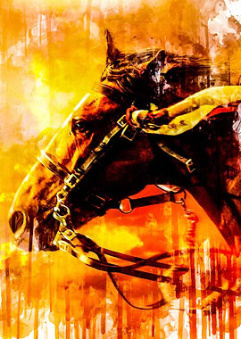 War Horse 1 2