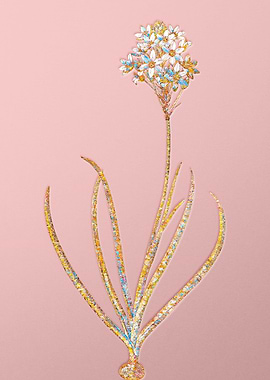 Pink Crystal Starflower