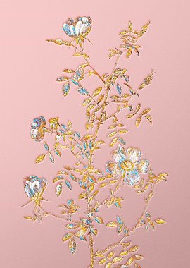 Pink Rainbow Rose Flower