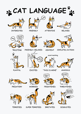 Cat Language