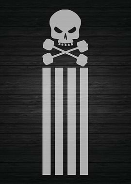 Skull Barbell Stripes