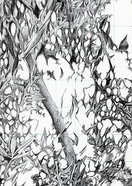 49 steps tree drawing pA4