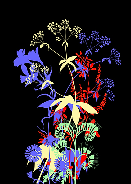 Silhouettes of wild flower